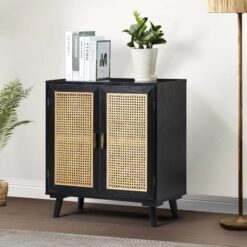 Cabinet 2 door ...