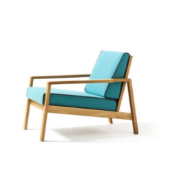 Simple Living Room Chairs with Turquoise Cushions