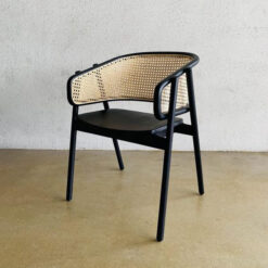 Rattan Retro Pa...