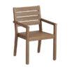 Dining Chair Natural Color Monaco