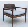 Lounge Chair Darker Color Frame and White of Cushion